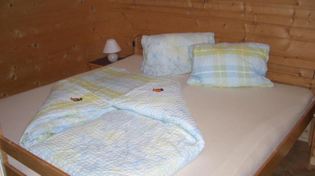 Appartement Leirer Alpbach Pokój zdjęcie