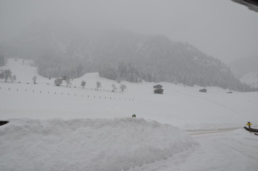 Appartement Leirer Alpbach Pokój zdjęcie